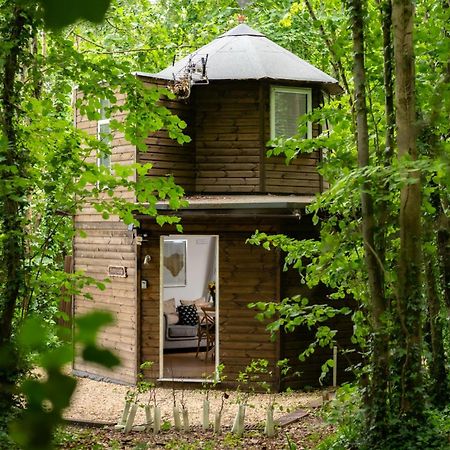 Honeycombe - Treehouse In The Heart Of Dorset Villa Blandford Forum Exterior foto