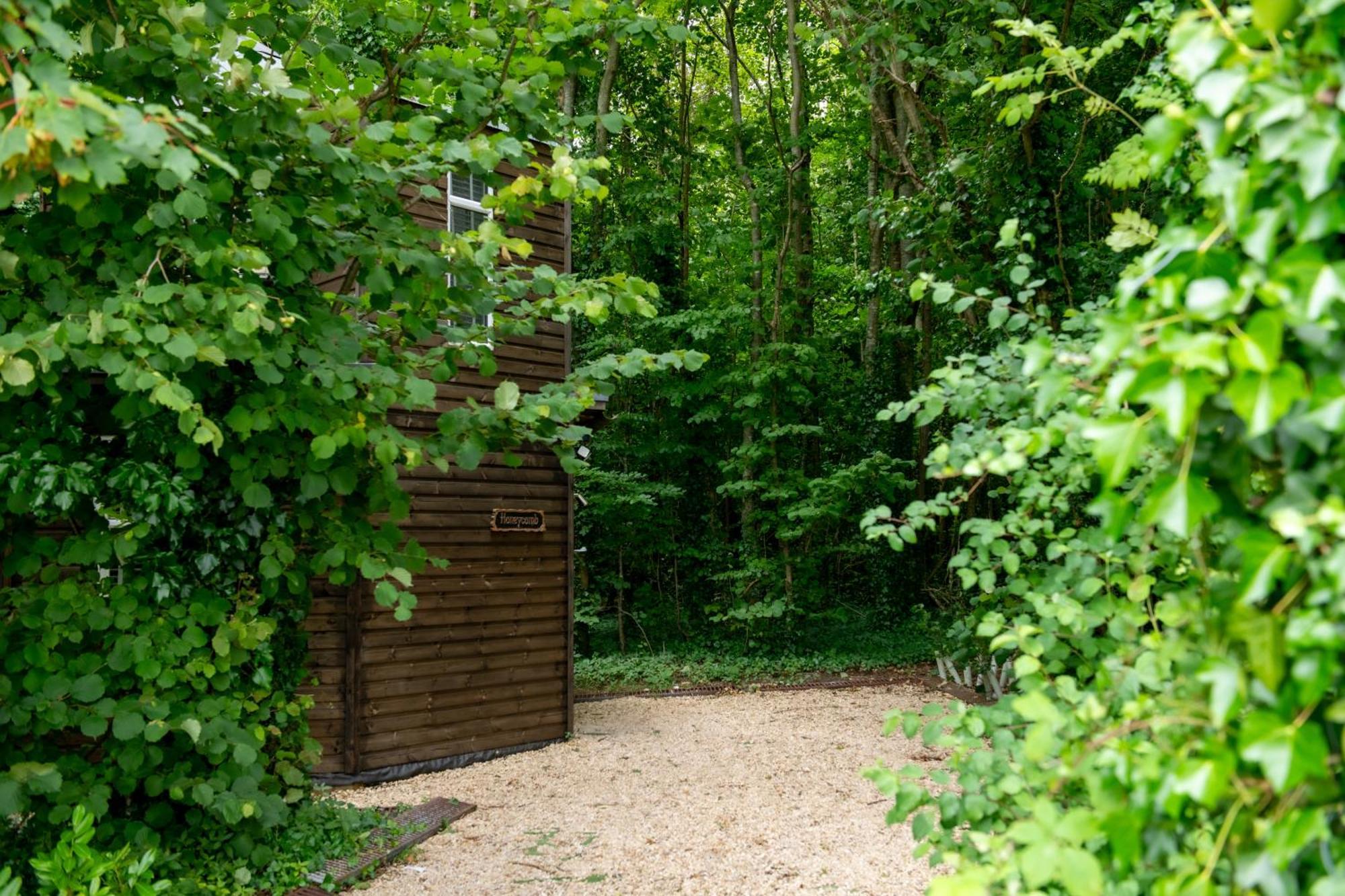 Honeycombe - Treehouse In The Heart Of Dorset Villa Blandford Forum Exterior foto